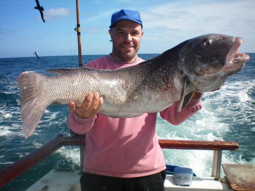 GIGANTES DEL MAR